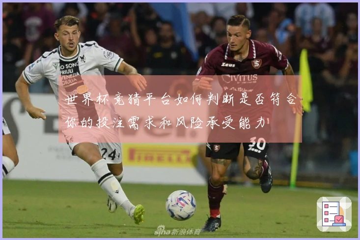 世界杯竞猜平台如何判断是否符合你的投注需求和风险承受能力