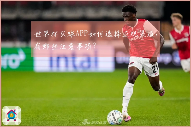 世界杯买球APP如何选择正规渠道，有哪些注意事项？