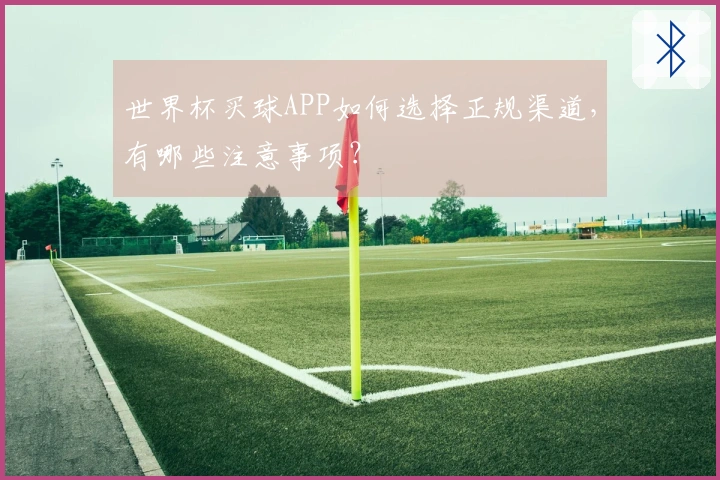 世界杯买球APP如何选择正规渠道，有哪些注意事项？