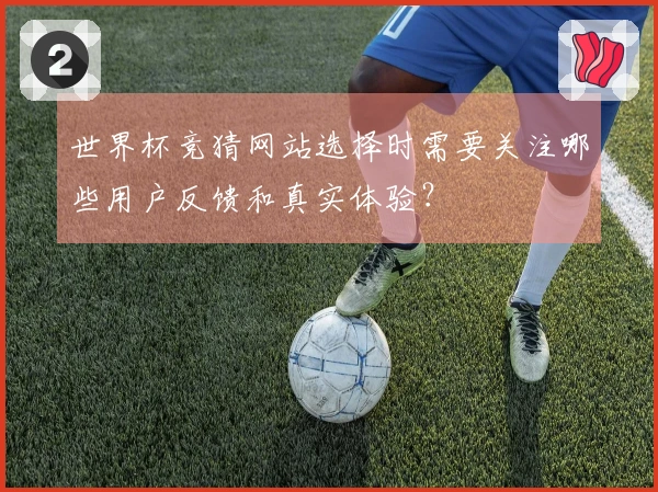 世界杯竞猜网站选择时需要关注哪些用户反馈和真实体验？